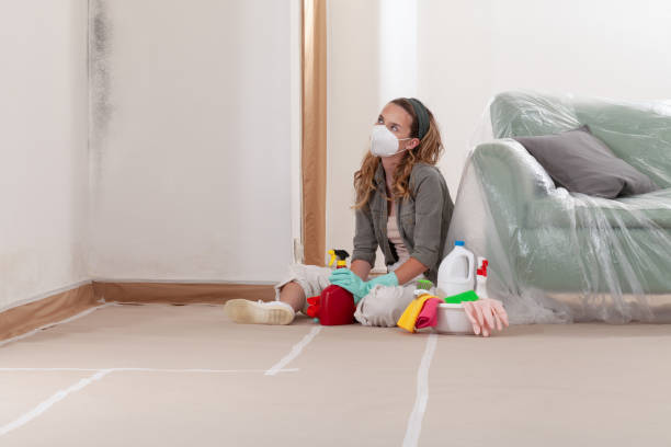 Reliable Mold Remediation contractor in Springfield, MN by WQB Mold Removal